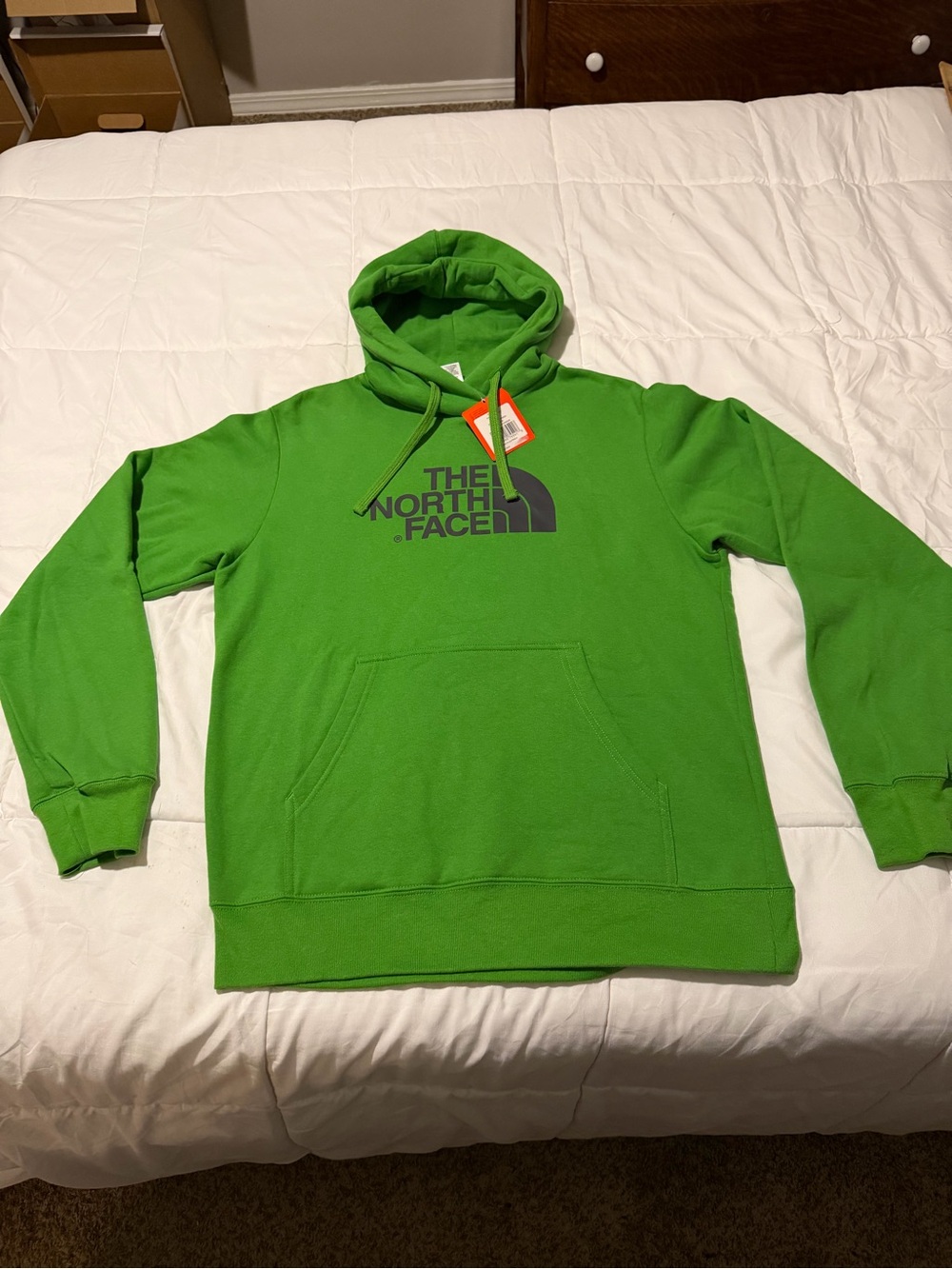 The North Face Green Hoodie with Black Logo NWT